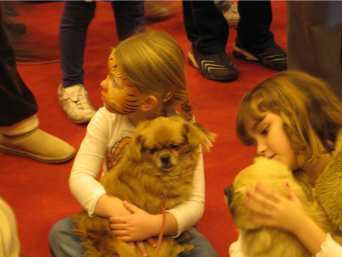 Tibetan spaniels and children at Crufts discover dogs stand