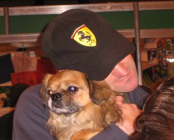 Tibetan spaniel having a cuddle at Crufts discover dogs