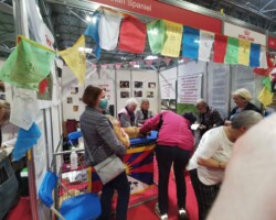 Crufts Discover Dogs 2022 Crufts Discover Dogs 2022