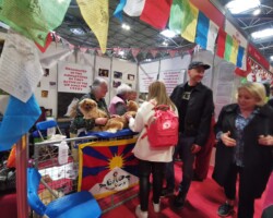 Crufts Discover Dogs 2022 Crufts Discover Dogs 2022