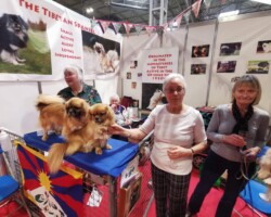 Crufts Discover Dogs 2022 Crufts Discover Dogs 2022